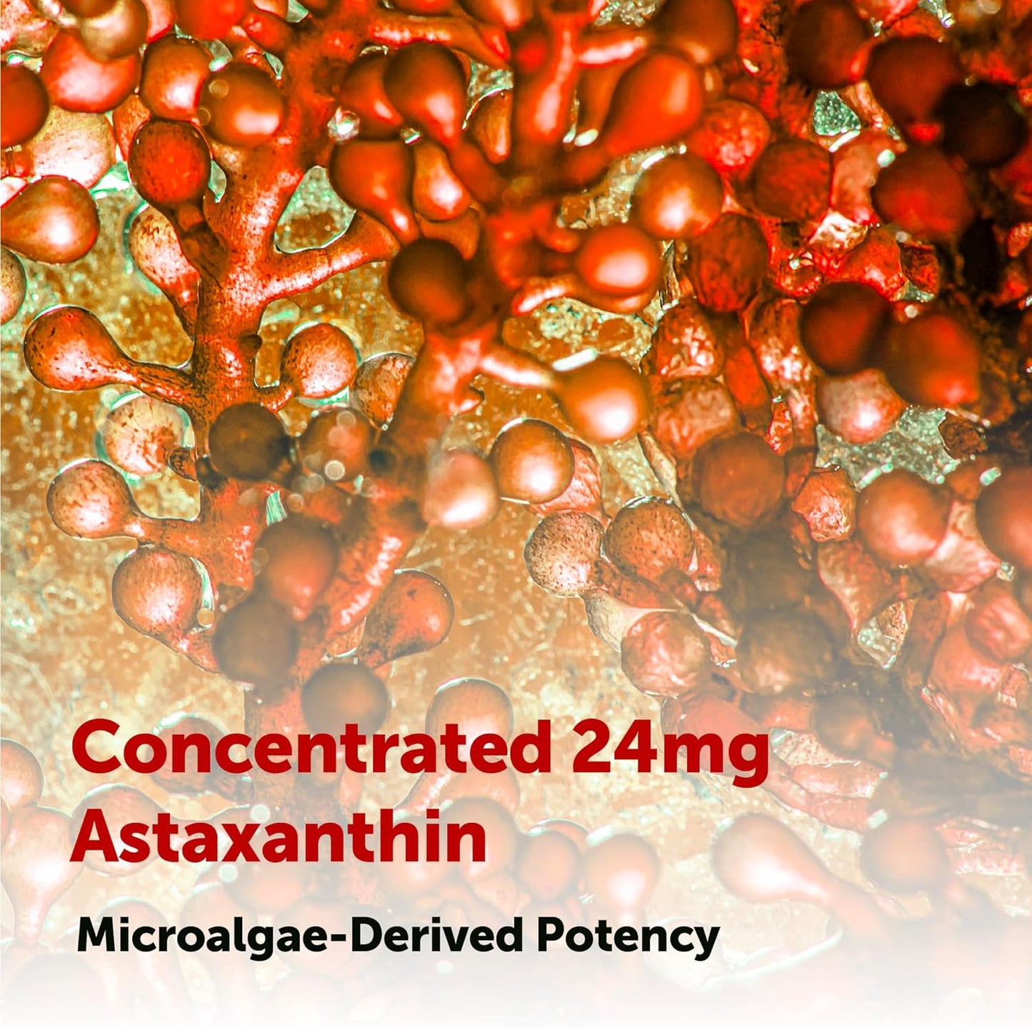 Micro Ingredients Astaxanthin