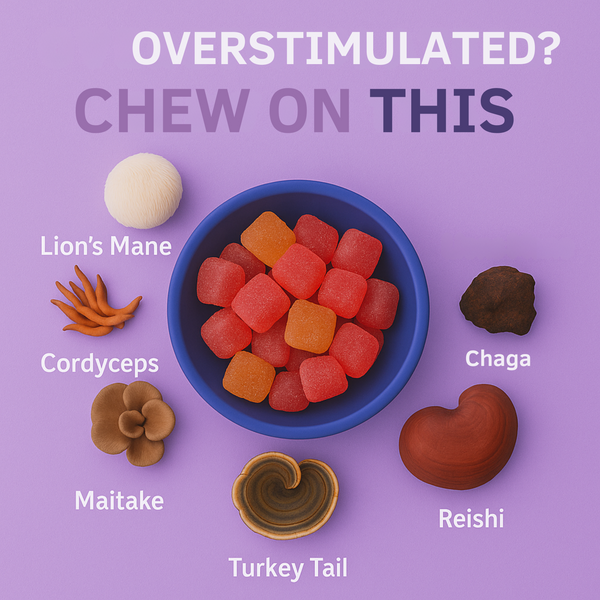 Organic Functional Mushroom Gummies for Daily Wellness Support