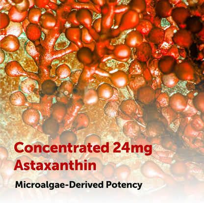 Micro Ingredients Astaxanthin